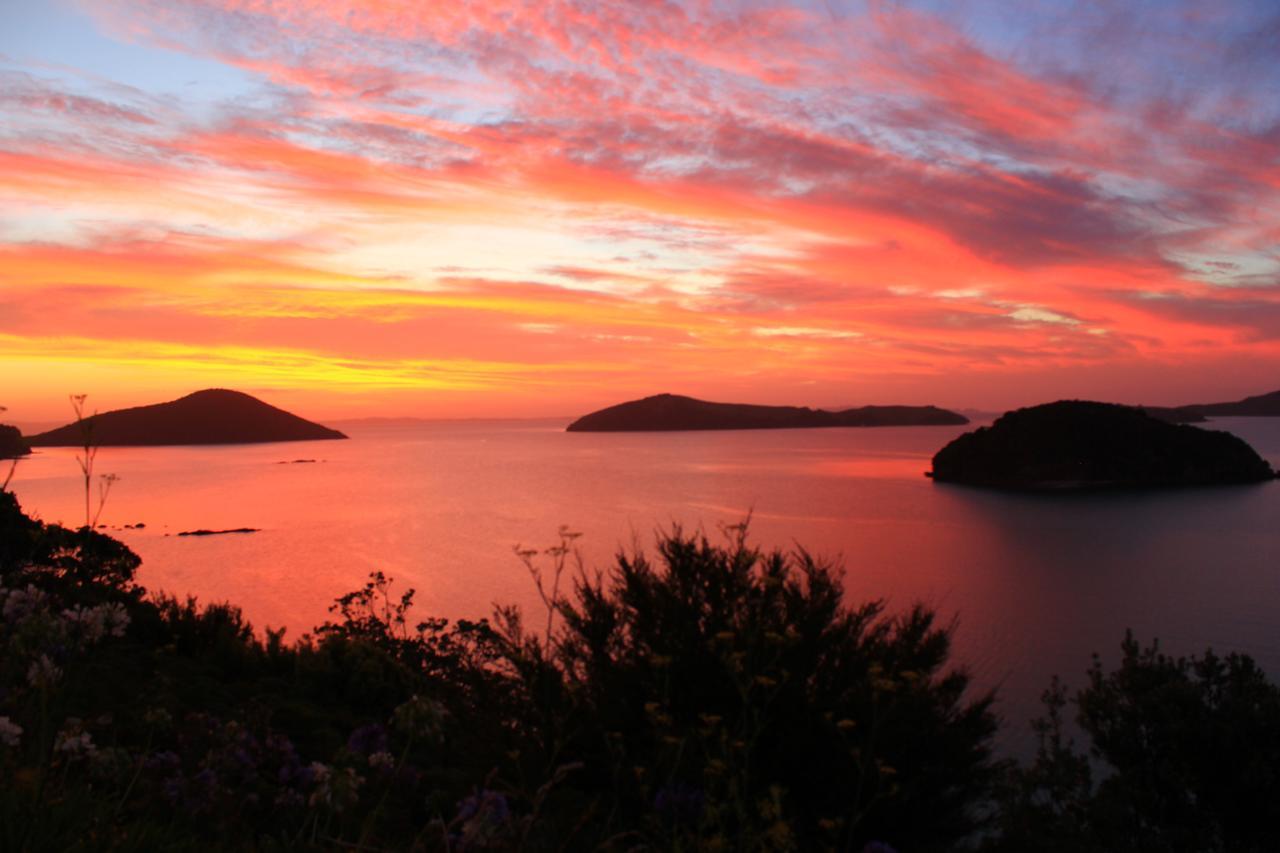 Coromandel Cottages 외부 사진